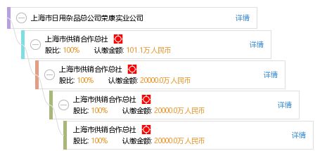 上海市日用雜品總公司榮康實業公司發展探析